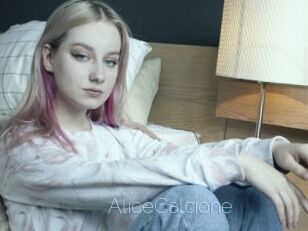 AliceCalcione