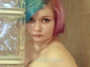 Aster_Grey