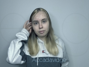 Accadavidge