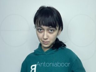 Antoniaboor