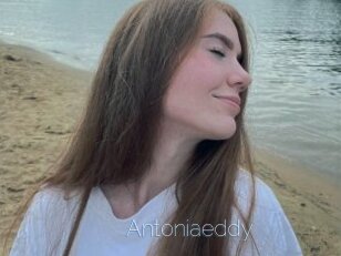 Antoniaeddy