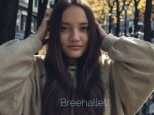 Breehallett