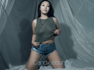 Candicebunny