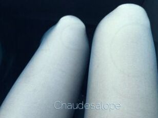 Chaudesalope