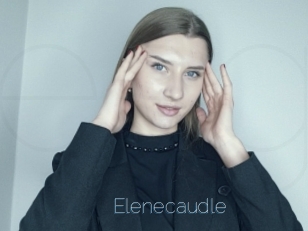 Elenecaudle