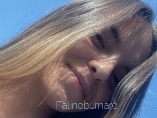 Falineburnard