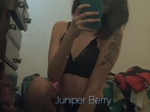 Juniper_Berry