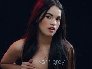 Karin_grey