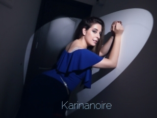 Karinanoire