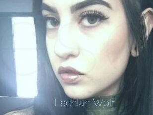 Lachlan_Wolf