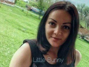 Little_Bunny_