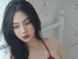 Levinjane