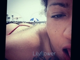 Lilyflower