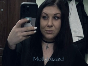 Mollyblizard