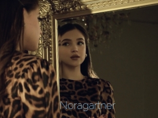 Noragartner