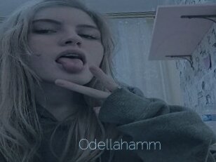 Odellahamm