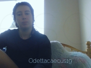 Odettacaecus19