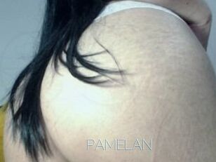 PAMELA_N