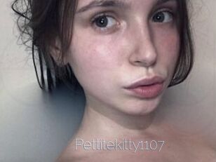 Pettitekitty1107