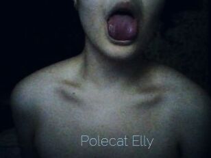 Polecat_Elly