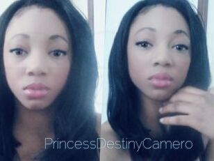 PrincessDestinyCamero