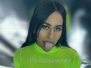 Pamelawaynex