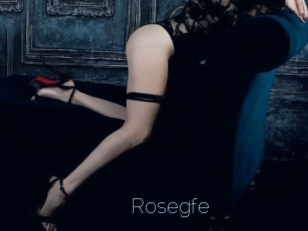 Rosegfe