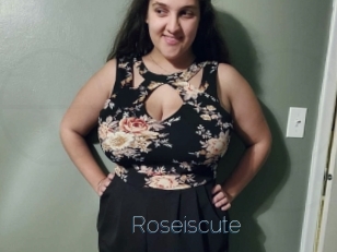 Roseiscute