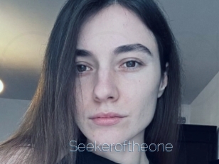 Seekeroftheone