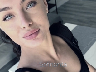 Sofinenita