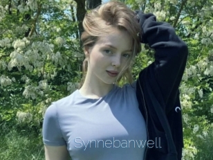 Synnebanwell