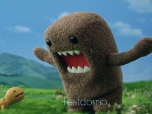 Testdomo