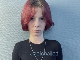 Udelehallett