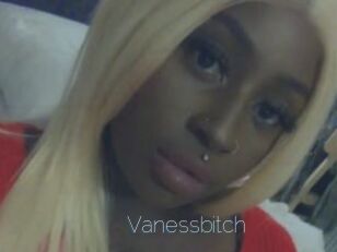 Vanessbitch