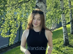 Wandabulson