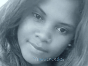 Ynesbrooks